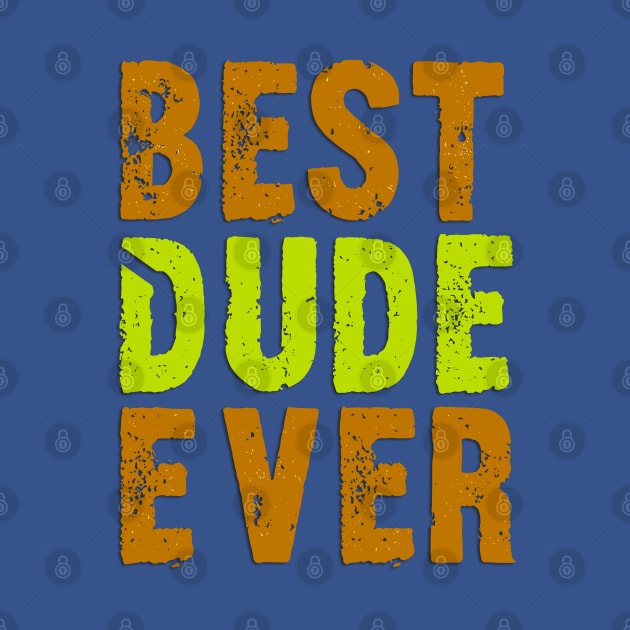 Best Dude Ever Colorful Distressed Grunge Design by TF Brands