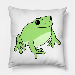 Frog Pillow