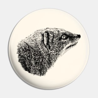 Yellow mongoose Pin