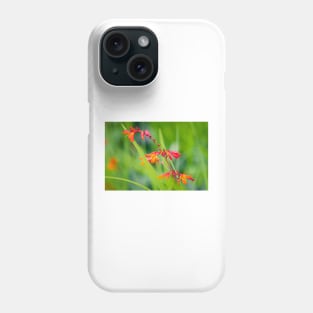 Close-up of crocosmia flowers Phone Case