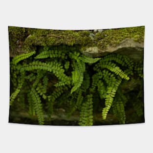 Cute wild plants Tapestry