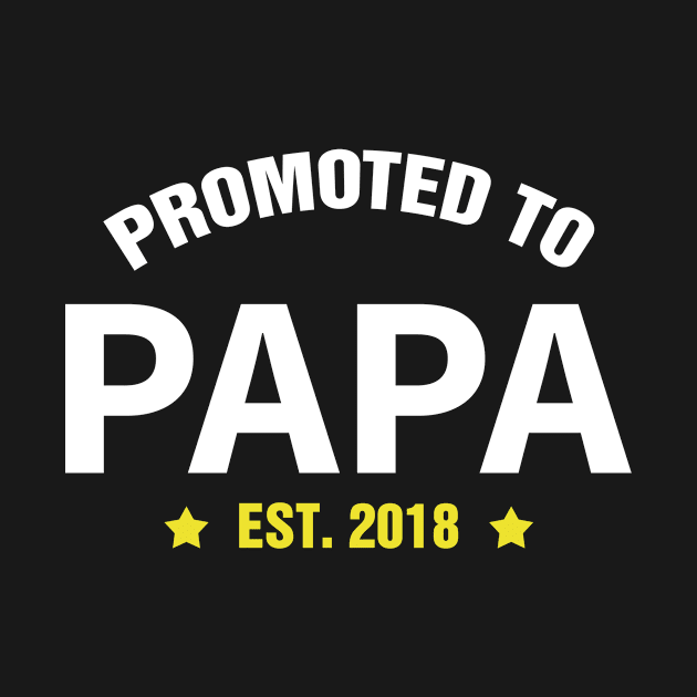 PROMOTED TO PAPA EST 2018 gift ideas for family by bestsellingshirts