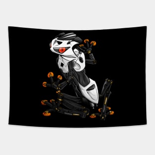 Kawasaki ZX6R Frog White Tapestry