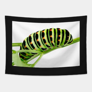 Swallowtail caterpillar Tapestry