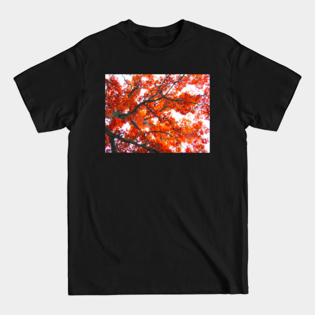 Discover Fall Trees, Orange Leaves - Fall Season - T-Shirt