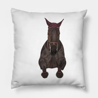 Seal Bay Show Jumper Front Pillow