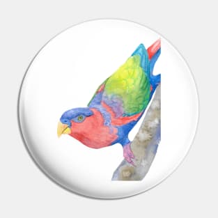 black-capped lory (Lorius lory) watercolor portrait Pin