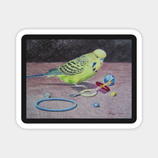 Budgie in coloured pencil Magnet