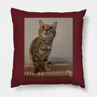 cat lover gifts Pillow