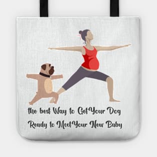My dog is training with me and my new baby Tote