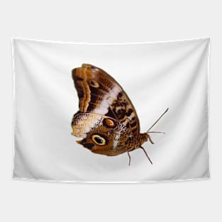 Blue Morpho Butterfly 2 Tapestry