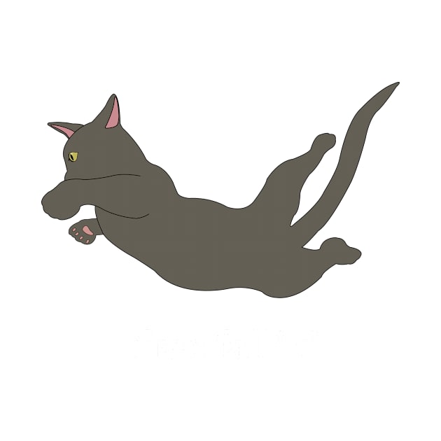 Free Falling Grey Cat by Dexter Lifestyle