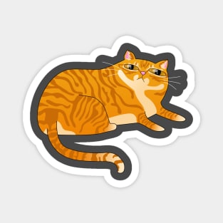 Orange Tabby Cat Magnet