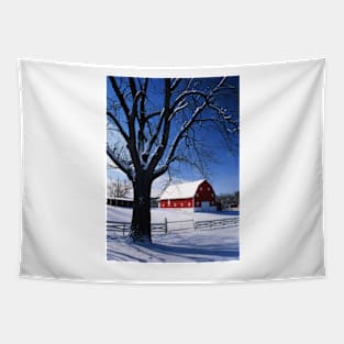 Winter Snow Scene Tapestry