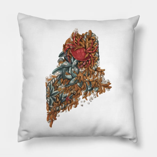 Maine (intertidal zone) Pillow by JadaFitch