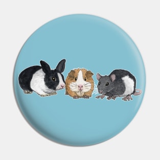 Dwarf rabbit, guinea pig and rat Pin