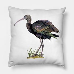 ibis Pillow