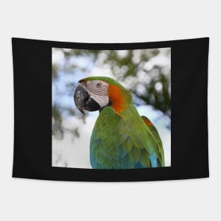 Harlequin Macaw Portrait Tapestry