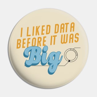 I Liked Data Before it Was Big Pin