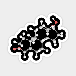 Testosterone Molecule Magnet