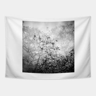 magnolia flowers Tapestry