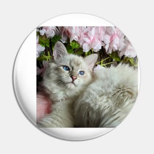 Saoirse ragdoll Pin