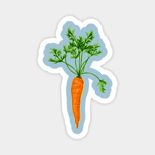 Carrot Magnet