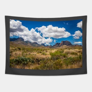 Big Bend National Park Sign Tapestry