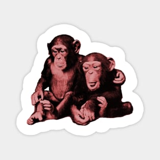 Two baby chimps monkey brothers hugging Magnet