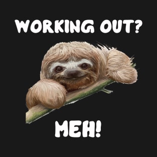 Sloth -  Working Out Meh T-Shirt