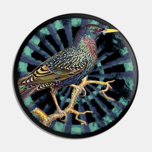 Common Starling Retro Circle Wheel Design Pin