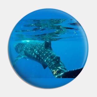 Whale Shark Caribbean Snorkel Swim Pin