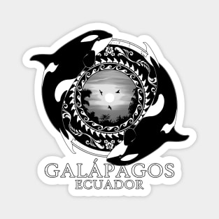 Orca Killer Whales Ecuador Galápagos Magnet