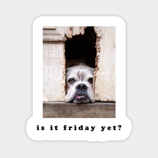 Is it Friday yet? Magnet