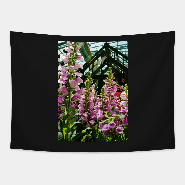 Pink Foxglove Framing a Glass Greenhouse Tapestry by 1Redbublppasswo