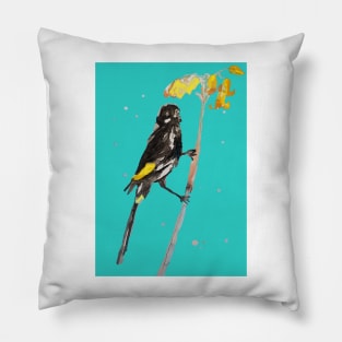 Australian Honeyeater Bird Painting - New Holland on Turquoise Pillow