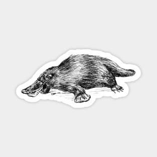 Platypus Illustration Magnet