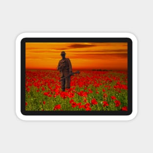 Soldier in Poppy Field Magnet