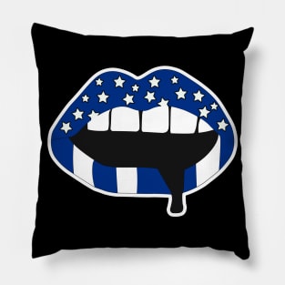 Blue and White Pillow