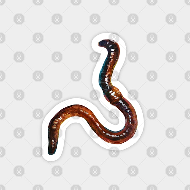 Creepy Cute Earthworm Sticker Magnet by RobertPhelpsArt