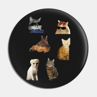 Funny Cats Pin