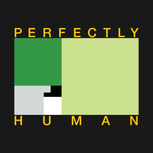 Perfectly Human - Aromantic Pride Flag T-Shirt