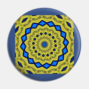 Peacock Feathers Mandala Kaleidoscope Abstract 1 Pin