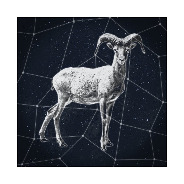 Capricorn Constellation by RAADesigns