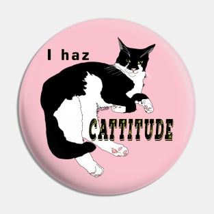 Cute Tuxedo Cat I haz attitude  Copyright TeAnne Pin