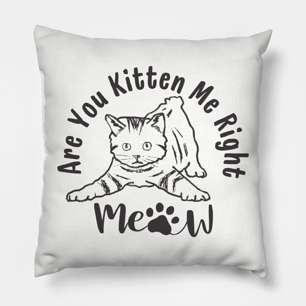 Are You Kitten Me Right Meow Funny Cat Lover Quote Pillow by Illustradise