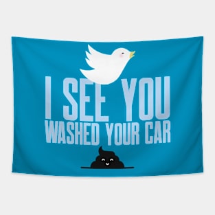 I see you just washed your car! Tapestry