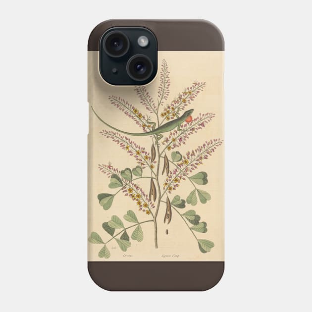 The Green Lizard of Jamaica by Mark Catesby Phone Case by Amanda1775