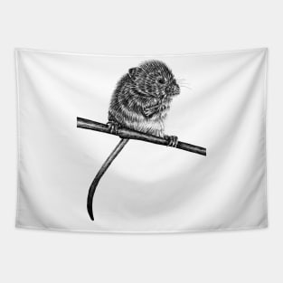 Harvest mouse Tapestry