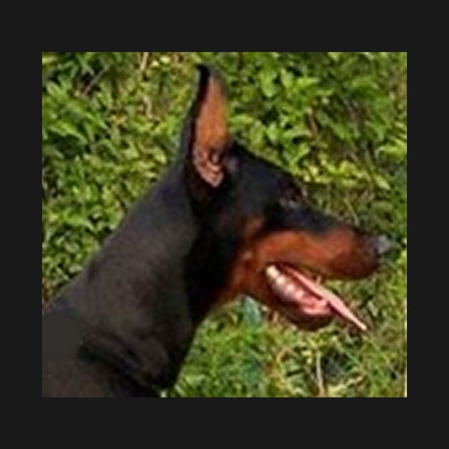 doberman pinscher by Wanderingangel